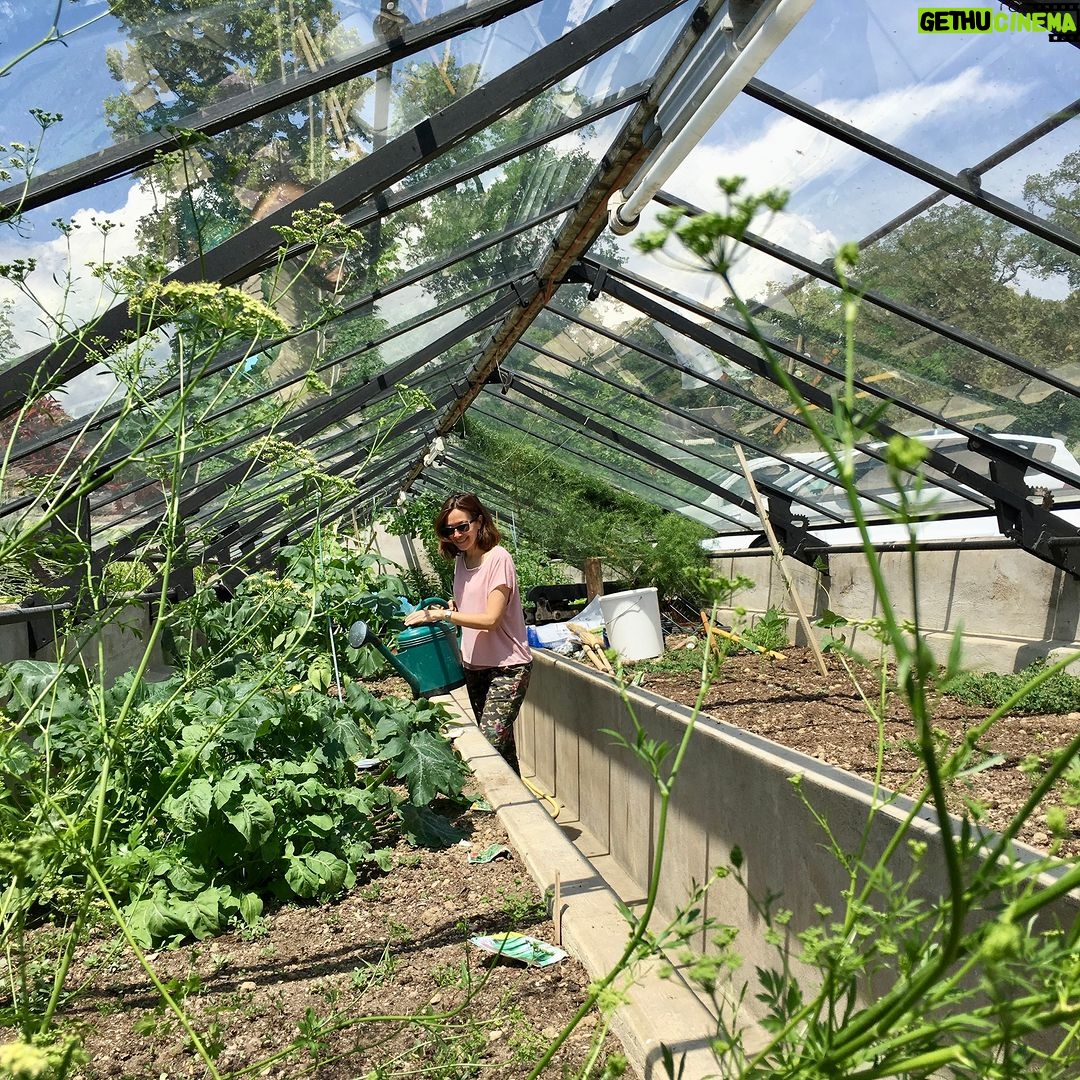 Deanna Yusoff Instagram - On one of my trips to Switzerland, I visited a convalescent home surrounded by forests and a beautiful lake. While exploring, I found a small glass house where herbs and small vegetables were grown to be used in their kitchen. Although I am not very good with plants, being surrounded by them was a wonderful experience. It got me thinking about how important plants are in our lives. Plants are more than just a source of food. They have medicinal and aromatic properties that have been used for centuries. Many modern medicines are derived from plants. Herbs have been used in Traditional Chinese Medicine (TCM) for thousands of years and essential oils extracted from plants are used in aromatherapy to promote relaxation and reduce stress. In addition, plants have air-purifying properties and can remove toxins from the air, making our environment cleaner and healthier. Studies have also shown that exposure to plants and nature can reduce stress and anxiety, improve mood, and increase productivity. Incorporating plants into our homes and workplaces can have a positive impact on our lives and the environment. Are you surrounded by plants? Y/N in the comments below. #plants #nature #herbs #medicinalplants #aromatherapy #essentialoils #TCM #traditionalchinesemedicine #healthylifestyle #wellness #selfcare #stressrelief #mentalhealth #productivity #environment #airpurifying #healthbenefits #holistichealth #greenliving #Switzerland