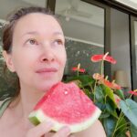 Deanna Yusoff Instagram - Watermelon seed oil has quickly become one of my go-to carrier oils for formulations. Its unique properties make it a perfect choice to use when creating natural skincare products. This oil (Citrullus Lanatus) is derived from the seeds of the watermelon fruit. It has gained popularity in recent years for its potential benefits for the skin. This amazing carrier oil is light yellow in colour and has a sweet, nutty scent. It is perfect for our climate as it is non-greasy and can penetrate deeply while giving you an extra boost thanks to its hefty helping of vitamin F (or omega 6s). Exciting news! My latest creation that will be out soon contains this oil. Keep an eye out for it...you won't want to miss this one! Hit the SAVE Button Now! #watermelonseedoil #citrullus_lanatus #seedoil #carrieroils #nongreasy #holisticskincare #holisticskin #ageingwell #naturalskincare #aging #wrinkles #wellaging #skin #skinhealth #ingredient #dryskin #complexion #skincareingredient #malaysia #certifiedformulator #edelbotanica #singapore #deannacreates #deannaformulates #actress