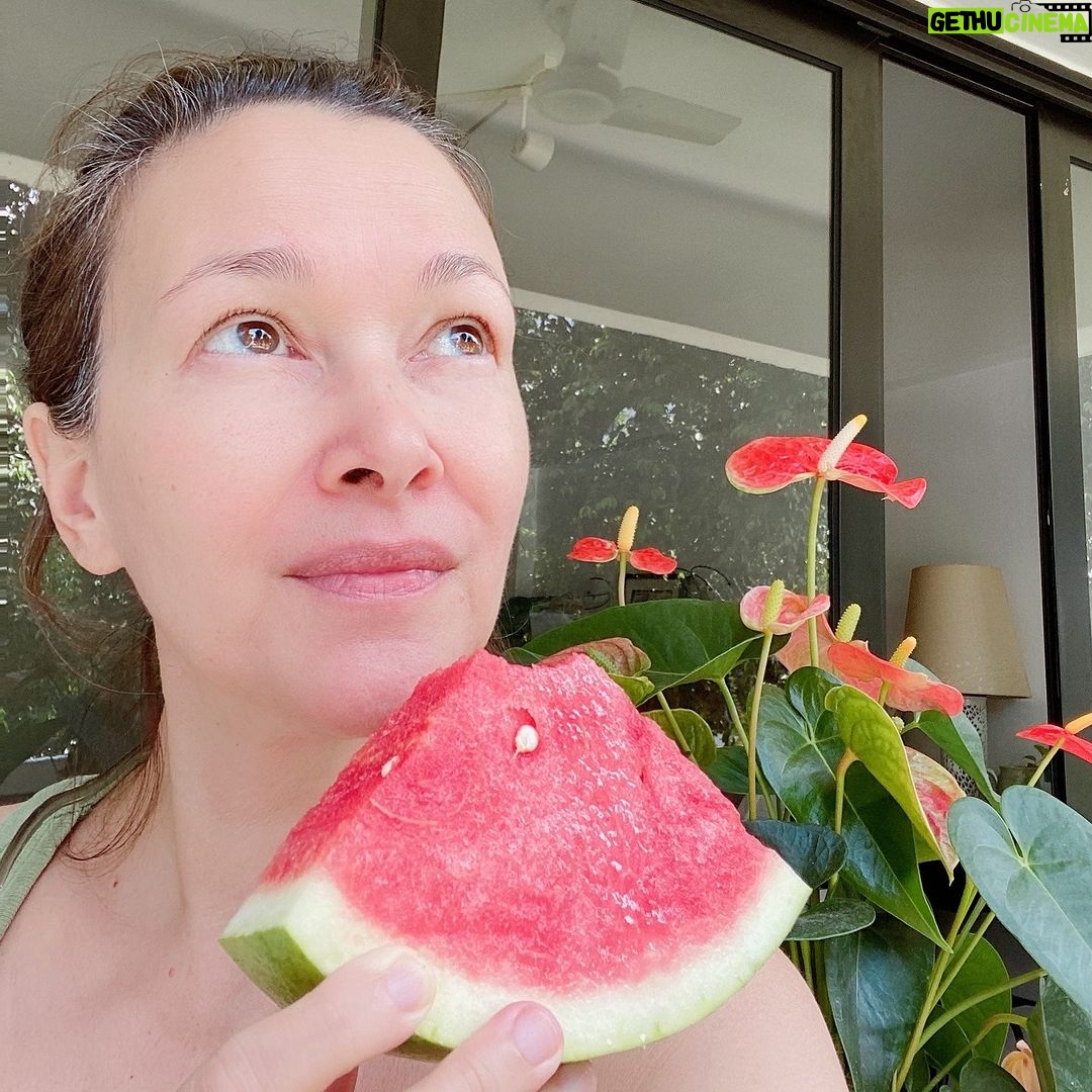 Deanna Yusoff Instagram - Watermelon seed oil has quickly become one of my go-to carrier oils for formulations. Its unique properties make it a perfect choice to use when creating natural skincare products. This oil (Citrullus Lanatus) is derived from the seeds of the watermelon fruit. It has gained popularity in recent years for its potential benefits for the skin. This amazing carrier oil is light yellow in colour and has a sweet, nutty scent. It is perfect for our climate as it is non-greasy and can penetrate deeply while giving you an extra boost thanks to its hefty helping of vitamin F (or omega 6s). Exciting news! My latest creation that will be out soon contains this oil. Keep an eye out for it...you won't want to miss this one! Hit the SAVE Button Now! #watermelonseedoil #citrullus_lanatus #seedoil #carrieroils #nongreasy #holisticskincare #holisticskin #ageingwell #naturalskincare #aging #wrinkles #wellaging #skin #skinhealth #ingredient #dryskin #complexion #skincareingredient #malaysia #certifiedformulator #edelbotanica #singapore #deannacreates #deannaformulates #actress