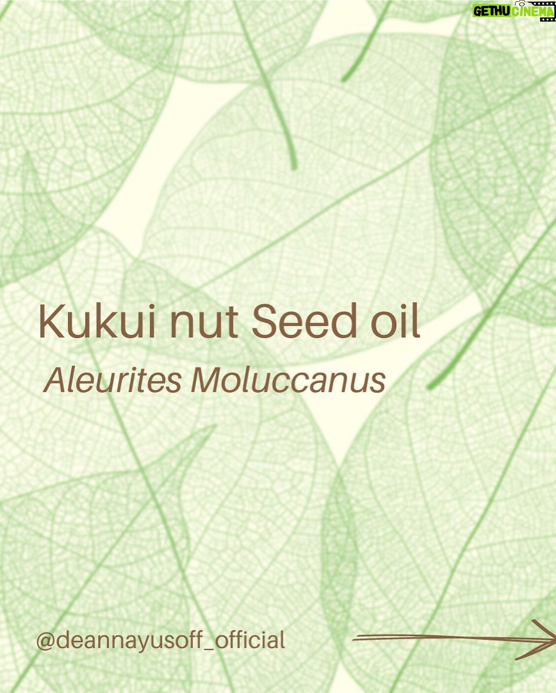 Deanna Yusoff - 1K Likes - Kukui nut, also known as Aleurites Moluccanus, Buah Keras, Kemiri or Candlenut, is a type of nut that is commonly found in Southeast Asia, including Malaysia. It has been a delicious cooking ingredient for centuries but it's also magical when used as part of skin care and haircare.
Kukui Nut oil (Carrier Oil) is extracted from the nuts and has been used for centuries in traditional remedies. With its combination of essential fatty acids and vitamins E and A to soothe irritated skin, soften and moisturize dry patches and even out tone. It is also believed to have anti-inflammatory and antimicrobial properties, which may make it useful for treating skin conditions like eczema, psoriasis, and acne. This ancient Malaysian secret might just be the best kept beauty trick still. No wonder I'm using Kukui oil all the time in my formulations...it would make our grandmas proud!
#kukui #kukuinuts #kukuinutoil #aleuritesmoluccanus #kemiri #buahkeras #candlenutoil #malaysia #holisticskincare #singapore #naturalskincare #skinhealth #ingredient #complexion #skincareingredient #carrieroilsforskin #lightoil #carrieroils #coldpressed #psoriasis #certifiedformulator #edelbotanica #deannacreates #deannaformulates #actress
