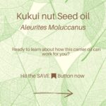 Deanna Yusoff Instagram - Kukui nut, also known as Aleurites Moluccanus, Buah Keras, Kemiri or Candlenut, is a type of nut that is commonly found in Southeast Asia, including Malaysia. It has been a delicious cooking ingredient for centuries but it's also magical when used as part of skin care and haircare. Kukui Nut oil (Carrier Oil) is extracted from the nuts and has been used for centuries in traditional remedies. With its combination of essential fatty acids and vitamins E and A to soothe irritated skin, soften and moisturize dry patches and even out tone. It is also believed to have anti-inflammatory and antimicrobial properties, which may make it useful for treating skin conditions like eczema, psoriasis, and acne. This ancient Malaysian secret might just be the best kept beauty trick still. No wonder I'm using Kukui oil all the time in my formulations...it would make our grandmas proud! #kukui #kukuinuts #kukuinutoil #aleuritesmoluccanus #kemiri #buahkeras #candlenutoil #malaysia #holisticskincare #singapore #naturalskincare #skinhealth #ingredient #complexion #skincareingredient #carrieroilsforskin #lightoil #carrieroils #coldpressed #psoriasis #certifiedformulator #edelbotanica #deannacreates #deannaformulates #actress