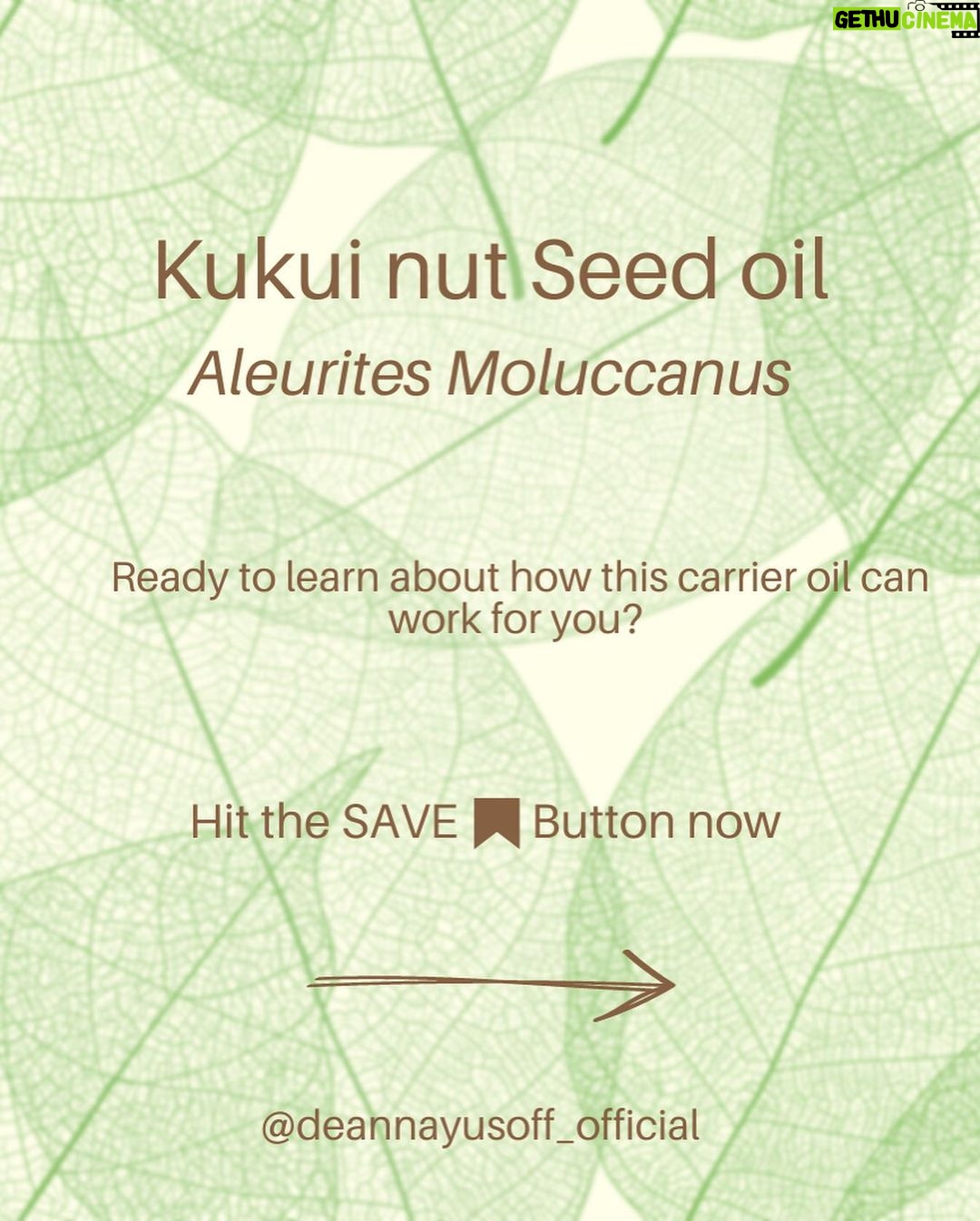 Deanna Yusoff - 1K Likes - Kukui nut, also known as Aleurites Moluccanus, Buah Keras, Kemiri or Candlenut, is a type of nut that is commonly found in Southeast Asia, including Malaysia. It has been a delicious cooking ingredient for centuries but it's also magical when used as part of skin care and haircare.
Kukui Nut oil (Carrier Oil) is extracted from the nuts and has been used for centuries in traditional remedies. With its combination of essential fatty acids and vitamins E and A to soothe irritated skin, soften and moisturize dry patches and even out tone. It is also believed to have anti-inflammatory and antimicrobial properties, which may make it useful for treating skin conditions like eczema, psoriasis, and acne. This ancient Malaysian secret might just be the best kept beauty trick still. No wonder I'm using Kukui oil all the time in my formulations...it would make our grandmas proud!
#kukui #kukuinuts #kukuinutoil #aleuritesmoluccanus #kemiri #buahkeras #candlenutoil #malaysia #holisticskincare #singapore #naturalskincare #skinhealth #ingredient #complexion #skincareingredient #carrieroilsforskin #lightoil #carrieroils #coldpressed #psoriasis #certifiedformulator #edelbotanica #deannacreates #deannaformulates #actress