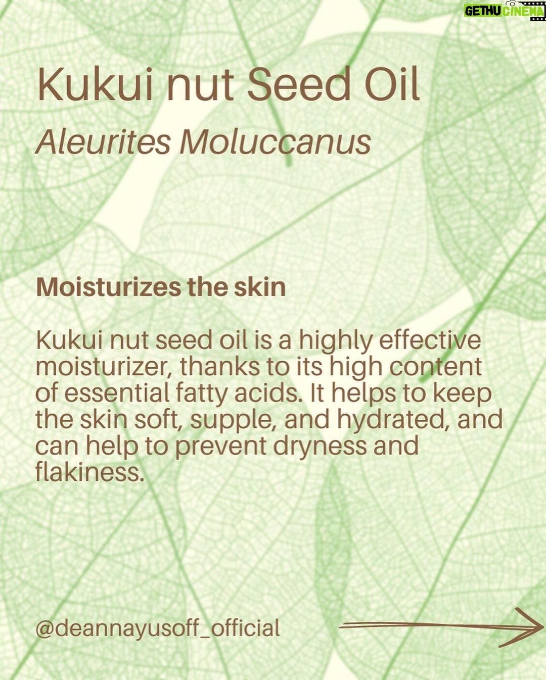 Deanna Yusoff - 1K Likes - Kukui nut, also known as Aleurites Moluccanus, Buah Keras, Kemiri or Candlenut, is a type of nut that is commonly found in Southeast Asia, including Malaysia. It has been a delicious cooking ingredient for centuries but it's also magical when used as part of skin care and haircare.
Kukui Nut oil (Carrier Oil) is extracted from the nuts and has been used for centuries in traditional remedies. With its combination of essential fatty acids and vitamins E and A to soothe irritated skin, soften and moisturize dry patches and even out tone. It is also believed to have anti-inflammatory and antimicrobial properties, which may make it useful for treating skin conditions like eczema, psoriasis, and acne. This ancient Malaysian secret might just be the best kept beauty trick still. No wonder I'm using Kukui oil all the time in my formulations...it would make our grandmas proud!
#kukui #kukuinuts #kukuinutoil #aleuritesmoluccanus #kemiri #buahkeras #candlenutoil #malaysia #holisticskincare #singapore #naturalskincare #skinhealth #ingredient #complexion #skincareingredient #carrieroilsforskin #lightoil #carrieroils #coldpressed #psoriasis #certifiedformulator #edelbotanica #deannacreates #deannaformulates #actress