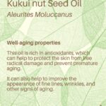 Deanna Yusoff Instagram - Kukui nut, also known as Aleurites Moluccanus, Buah Keras, Kemiri or Candlenut, is a type of nut that is commonly found in Southeast Asia, including Malaysia. It has been a delicious cooking ingredient for centuries but it's also magical when used as part of skin care and haircare. Kukui Nut oil (Carrier Oil) is extracted from the nuts and has been used for centuries in traditional remedies. With its combination of essential fatty acids and vitamins E and A to soothe irritated skin, soften and moisturize dry patches and even out tone. It is also believed to have anti-inflammatory and antimicrobial properties, which may make it useful for treating skin conditions like eczema, psoriasis, and acne. This ancient Malaysian secret might just be the best kept beauty trick still. No wonder I'm using Kukui oil all the time in my formulations...it would make our grandmas proud! #kukui #kukuinuts #kukuinutoil #aleuritesmoluccanus #kemiri #buahkeras #candlenutoil #malaysia #holisticskincare #singapore #naturalskincare #skinhealth #ingredient #complexion #skincareingredient #carrieroilsforskin #lightoil #carrieroils #coldpressed #psoriasis #certifiedformulator #edelbotanica #deannacreates #deannaformulates #actress
