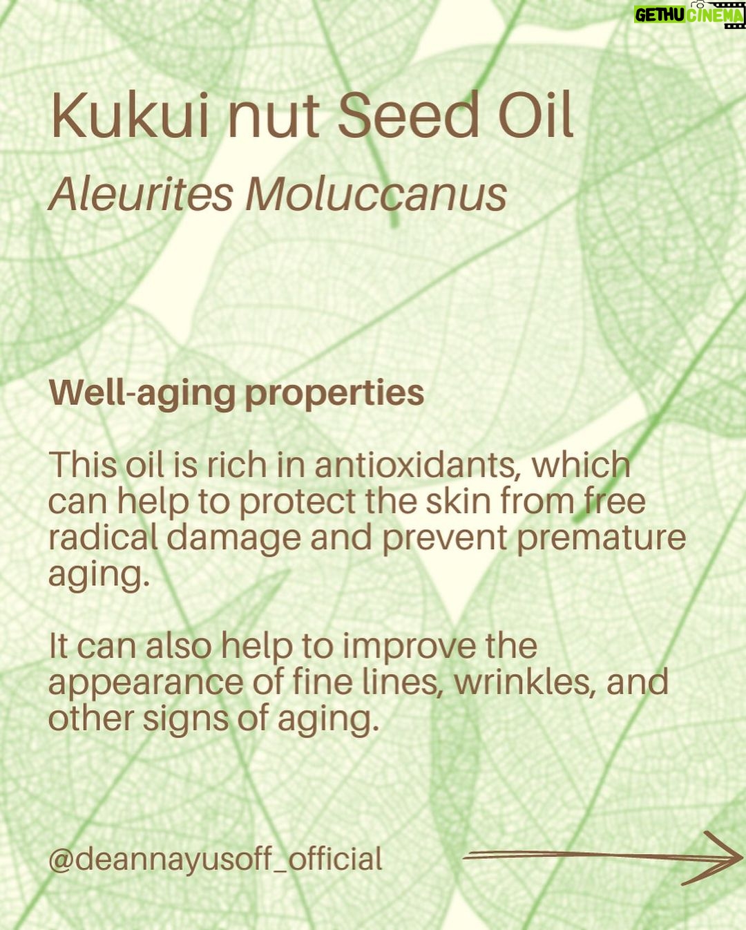 Deanna Yusoff - 1K Likes - Kukui nut, also known as Aleurites Moluccanus, Buah Keras, Kemiri or Candlenut, is a type of nut that is commonly found in Southeast Asia, including Malaysia. It has been a delicious cooking ingredient for centuries but it's also magical when used as part of skin care and haircare.
Kukui Nut oil (Carrier Oil) is extracted from the nuts and has been used for centuries in traditional remedies. With its combination of essential fatty acids and vitamins E and A to soothe irritated skin, soften and moisturize dry patches and even out tone. It is also believed to have anti-inflammatory and antimicrobial properties, which may make it useful for treating skin conditions like eczema, psoriasis, and acne. This ancient Malaysian secret might just be the best kept beauty trick still. No wonder I'm using Kukui oil all the time in my formulations...it would make our grandmas proud!
#kukui #kukuinuts #kukuinutoil #aleuritesmoluccanus #kemiri #buahkeras #candlenutoil #malaysia #holisticskincare #singapore #naturalskincare #skinhealth #ingredient #complexion #skincareingredient #carrieroilsforskin #lightoil #carrieroils #coldpressed #psoriasis #certifiedformulator #edelbotanica #deannacreates #deannaformulates #actress
