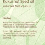Deanna Yusoff Instagram - Kukui nut, also known as Aleurites Moluccanus, Buah Keras, Kemiri or Candlenut, is a type of nut that is commonly found in Southeast Asia, including Malaysia. It has been a delicious cooking ingredient for centuries but it's also magical when used as part of skin care and haircare. Kukui Nut oil (Carrier Oil) is extracted from the nuts and has been used for centuries in traditional remedies. With its combination of essential fatty acids and vitamins E and A to soothe irritated skin, soften and moisturize dry patches and even out tone. It is also believed to have anti-inflammatory and antimicrobial properties, which may make it useful for treating skin conditions like eczema, psoriasis, and acne. This ancient Malaysian secret might just be the best kept beauty trick still. No wonder I'm using Kukui oil all the time in my formulations...it would make our grandmas proud! #kukui #kukuinuts #kukuinutoil #aleuritesmoluccanus #kemiri #buahkeras #candlenutoil #malaysia #holisticskincare #singapore #naturalskincare #skinhealth #ingredient #complexion #skincareingredient #carrieroilsforskin #lightoil #carrieroils #coldpressed #psoriasis #certifiedformulator #edelbotanica #deannacreates #deannaformulates #actress