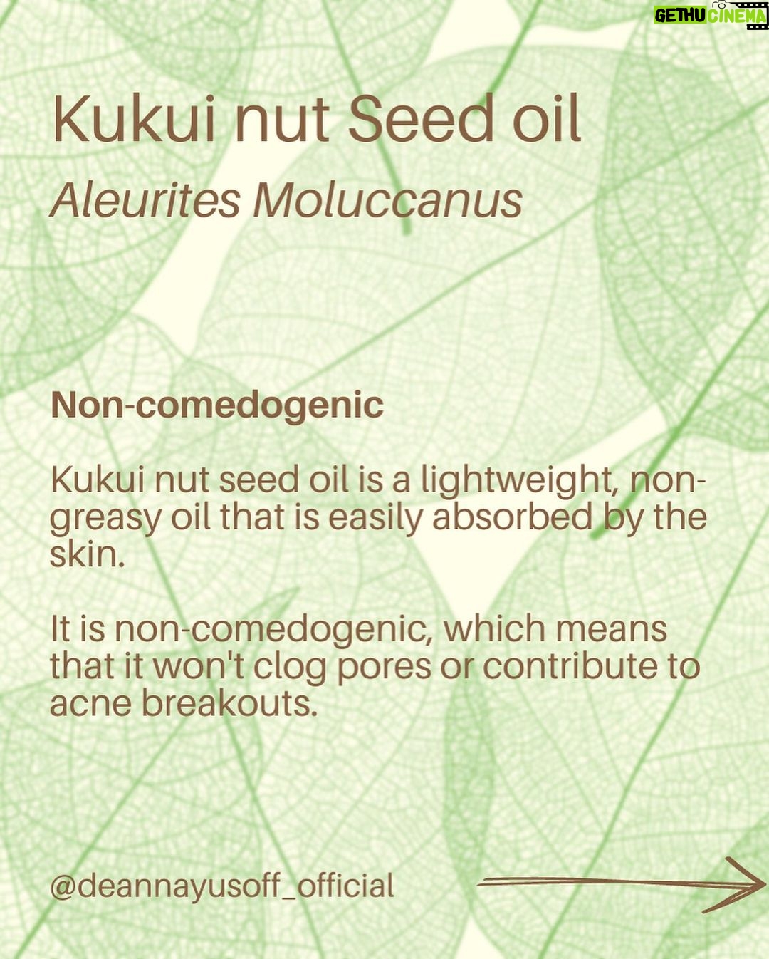 Deanna Yusoff - 1K Likes - Kukui nut, also known as Aleurites Moluccanus, Buah Keras, Kemiri or Candlenut, is a type of nut that is commonly found in Southeast Asia, including Malaysia. It has been a delicious cooking ingredient for centuries but it's also magical when used as part of skin care and haircare.
Kukui Nut oil (Carrier Oil) is extracted from the nuts and has been used for centuries in traditional remedies. With its combination of essential fatty acids and vitamins E and A to soothe irritated skin, soften and moisturize dry patches and even out tone. It is also believed to have anti-inflammatory and antimicrobial properties, which may make it useful for treating skin conditions like eczema, psoriasis, and acne. This ancient Malaysian secret might just be the best kept beauty trick still. No wonder I'm using Kukui oil all the time in my formulations...it would make our grandmas proud!
#kukui #kukuinuts #kukuinutoil #aleuritesmoluccanus #kemiri #buahkeras #candlenutoil #malaysia #holisticskincare #singapore #naturalskincare #skinhealth #ingredient #complexion #skincareingredient #carrieroilsforskin #lightoil #carrieroils #coldpressed #psoriasis #certifiedformulator #edelbotanica #deannacreates #deannaformulates #actress