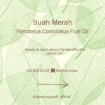 Deanna Yusoff Instagram – Hey there! I’m super excited to share that I’ll be using Buah Merah as a carrier oil in my upcoming product launch. I’m really loving the amazing color it brings, and it’s already inspiring some ideas for future formulations too. I can’t wait to share more about my new product with you, but please bear with me – I believe that good things come to those who wait for the right time.

Buah Merah, also known as Pandanus Conoideus or Red Fruit Oil, is a type of oil that is extracted from the fruit of the Pandanus Conoideus tree. The plant is native to Papua, Indonesia, and is commonly found in the Pacific Islands, including Fiji, Vanuatu, and the Solomon Islands.

The oil from the Buah Merah is typically extracted using cold-pressing or expeller-pressing methods. Cold-pressing involves using a hydraulic press to extract the oil from the fruit without the use of heat. This method helps to retain the oil’s natural nutrients and antioxidants, making it ideal for use in skincare products.

Expeller-pressing, on the other hand, involves using a mechanical press to extract the oil from the fruit. This method applies heat and pressure to the fruit, which can alter the oil’s chemical composition and reduce its natural nutrients.

After the oil is extracted, it is then filtered and refined to remove any impurities, resulting in a pure and high-quality oil that can be used in skincare products.
It is worth noting that the extraction process can vary depending on the manufacturer and the equipment used. Therefore, it is essential to choose a reputable brand that uses high-quality extraction methods to ensure that you get the best quality oil.

Apart from its use in skincare, Buah Merah oil is also used in traditional medicine to treat various ailments, including digestive issues and respiratory problems. Additionally, the oil is also used as a natural food coloring in some traditional dishes in Papua.

Have you heard of this ingredient before? I would love to hear about your experience with it, so please let me know!

#buahmerah #ingredient #carrieroil #formulation #naturalskincare