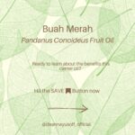 Deanna Yusoff Instagram - Hey there! I'm super excited to share that I'll be using Buah Merah as a carrier oil in my upcoming product launch. I'm really loving the amazing color it brings, and it's already inspiring some ideas for future formulations too. I can't wait to share more about my new product with you, but please bear with me - I believe that good things come to those who wait for the right time. Buah Merah, also known as Pandanus Conoideus or Red Fruit Oil, is a type of oil that is extracted from the fruit of the Pandanus Conoideus tree. The plant is native to Papua, Indonesia, and is commonly found in the Pacific Islands, including Fiji, Vanuatu, and the Solomon Islands. The oil from the Buah Merah is typically extracted using cold-pressing or expeller-pressing methods. Cold-pressing involves using a hydraulic press to extract the oil from the fruit without the use of heat. This method helps to retain the oil's natural nutrients and antioxidants, making it ideal for use in skincare products. Expeller-pressing, on the other hand, involves using a mechanical press to extract the oil from the fruit. This method applies heat and pressure to the fruit, which can alter the oil's chemical composition and reduce its natural nutrients. After the oil is extracted, it is then filtered and refined to remove any impurities, resulting in a pure and high-quality oil that can be used in skincare products. It is worth noting that the extraction process can vary depending on the manufacturer and the equipment used. Therefore, it is essential to choose a reputable brand that uses high-quality extraction methods to ensure that you get the best quality oil. Apart from its use in skincare, Buah Merah oil is also used in traditional medicine to treat various ailments, including digestive issues and respiratory problems. Additionally, the oil is also used as a natural food coloring in some traditional dishes in Papua. Have you heard of this ingredient before? I would love to hear about your experience with it, so please let me know! #buahmerah #ingredient #carrieroil #formulation #naturalskincare