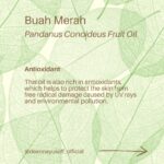 Deanna Yusoff Instagram - Hey there! I'm super excited to share that I'll be using Buah Merah as a carrier oil in my upcoming product launch. I'm really loving the amazing color it brings, and it's already inspiring some ideas for future formulations too. I can't wait to share more about my new product with you, but please bear with me - I believe that good things come to those who wait for the right time. Buah Merah, also known as Pandanus Conoideus or Red Fruit Oil, is a type of oil that is extracted from the fruit of the Pandanus Conoideus tree. The plant is native to Papua, Indonesia, and is commonly found in the Pacific Islands, including Fiji, Vanuatu, and the Solomon Islands. The oil from the Buah Merah is typically extracted using cold-pressing or expeller-pressing methods. Cold-pressing involves using a hydraulic press to extract the oil from the fruit without the use of heat. This method helps to retain the oil's natural nutrients and antioxidants, making it ideal for use in skincare products. Expeller-pressing, on the other hand, involves using a mechanical press to extract the oil from the fruit. This method applies heat and pressure to the fruit, which can alter the oil's chemical composition and reduce its natural nutrients. After the oil is extracted, it is then filtered and refined to remove any impurities, resulting in a pure and high-quality oil that can be used in skincare products. It is worth noting that the extraction process can vary depending on the manufacturer and the equipment used. Therefore, it is essential to choose a reputable brand that uses high-quality extraction methods to ensure that you get the best quality oil. Apart from its use in skincare, Buah Merah oil is also used in traditional medicine to treat various ailments, including digestive issues and respiratory problems. Additionally, the oil is also used as a natural food coloring in some traditional dishes in Papua. Have you heard of this ingredient before? I would love to hear about your experience with it, so please let me know! #buahmerah #ingredient #carrieroil #formulation #naturalskincare