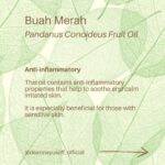 Deanna Yusoff Instagram - Hey there! I'm super excited to share that I'll be using Buah Merah as a carrier oil in my upcoming product launch. I'm really loving the amazing color it brings, and it's already inspiring some ideas for future formulations too. I can't wait to share more about my new product with you, but please bear with me - I believe that good things come to those who wait for the right time. Buah Merah, also known as Pandanus Conoideus or Red Fruit Oil, is a type of oil that is extracted from the fruit of the Pandanus Conoideus tree. The plant is native to Papua, Indonesia, and is commonly found in the Pacific Islands, including Fiji, Vanuatu, and the Solomon Islands. The oil from the Buah Merah is typically extracted using cold-pressing or expeller-pressing methods. Cold-pressing involves using a hydraulic press to extract the oil from the fruit without the use of heat. This method helps to retain the oil's natural nutrients and antioxidants, making it ideal for use in skincare products. Expeller-pressing, on the other hand, involves using a mechanical press to extract the oil from the fruit. This method applies heat and pressure to the fruit, which can alter the oil's chemical composition and reduce its natural nutrients. After the oil is extracted, it is then filtered and refined to remove any impurities, resulting in a pure and high-quality oil that can be used in skincare products. It is worth noting that the extraction process can vary depending on the manufacturer and the equipment used. Therefore, it is essential to choose a reputable brand that uses high-quality extraction methods to ensure that you get the best quality oil. Apart from its use in skincare, Buah Merah oil is also used in traditional medicine to treat various ailments, including digestive issues and respiratory problems. Additionally, the oil is also used as a natural food coloring in some traditional dishes in Papua. Have you heard of this ingredient before? I would love to hear about your experience with it, so please let me know! #buahmerah #ingredient #carrieroil #formulation #naturalskincare