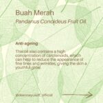 Deanna Yusoff Instagram - Hey there! I'm super excited to share that I'll be using Buah Merah as a carrier oil in my upcoming product launch. I'm really loving the amazing color it brings, and it's already inspiring some ideas for future formulations too. I can't wait to share more about my new product with you, but please bear with me - I believe that good things come to those who wait for the right time. Buah Merah, also known as Pandanus Conoideus or Red Fruit Oil, is a type of oil that is extracted from the fruit of the Pandanus Conoideus tree. The plant is native to Papua, Indonesia, and is commonly found in the Pacific Islands, including Fiji, Vanuatu, and the Solomon Islands. The oil from the Buah Merah is typically extracted using cold-pressing or expeller-pressing methods. Cold-pressing involves using a hydraulic press to extract the oil from the fruit without the use of heat. This method helps to retain the oil's natural nutrients and antioxidants, making it ideal for use in skincare products. Expeller-pressing, on the other hand, involves using a mechanical press to extract the oil from the fruit. This method applies heat and pressure to the fruit, which can alter the oil's chemical composition and reduce its natural nutrients. After the oil is extracted, it is then filtered and refined to remove any impurities, resulting in a pure and high-quality oil that can be used in skincare products. It is worth noting that the extraction process can vary depending on the manufacturer and the equipment used. Therefore, it is essential to choose a reputable brand that uses high-quality extraction methods to ensure that you get the best quality oil. Apart from its use in skincare, Buah Merah oil is also used in traditional medicine to treat various ailments, including digestive issues and respiratory problems. Additionally, the oil is also used as a natural food coloring in some traditional dishes in Papua. Have you heard of this ingredient before? I would love to hear about your experience with it, so please let me know! #buahmerah #ingredient #carrieroil #formulation #naturalskincare