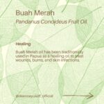 Deanna Yusoff Instagram - Hey there! I'm super excited to share that I'll be using Buah Merah as a carrier oil in my upcoming product launch. I'm really loving the amazing color it brings, and it's already inspiring some ideas for future formulations too. I can't wait to share more about my new product with you, but please bear with me - I believe that good things come to those who wait for the right time. Buah Merah, also known as Pandanus Conoideus or Red Fruit Oil, is a type of oil that is extracted from the fruit of the Pandanus Conoideus tree. The plant is native to Papua, Indonesia, and is commonly found in the Pacific Islands, including Fiji, Vanuatu, and the Solomon Islands. The oil from the Buah Merah is typically extracted using cold-pressing or expeller-pressing methods. Cold-pressing involves using a hydraulic press to extract the oil from the fruit without the use of heat. This method helps to retain the oil's natural nutrients and antioxidants, making it ideal for use in skincare products. Expeller-pressing, on the other hand, involves using a mechanical press to extract the oil from the fruit. This method applies heat and pressure to the fruit, which can alter the oil's chemical composition and reduce its natural nutrients. After the oil is extracted, it is then filtered and refined to remove any impurities, resulting in a pure and high-quality oil that can be used in skincare products. It is worth noting that the extraction process can vary depending on the manufacturer and the equipment used. Therefore, it is essential to choose a reputable brand that uses high-quality extraction methods to ensure that you get the best quality oil. Apart from its use in skincare, Buah Merah oil is also used in traditional medicine to treat various ailments, including digestive issues and respiratory problems. Additionally, the oil is also used as a natural food coloring in some traditional dishes in Papua. Have you heard of this ingredient before? I would love to hear about your experience with it, so please let me know! #buahmerah #ingredient #carrieroil #formulation #naturalskincare
