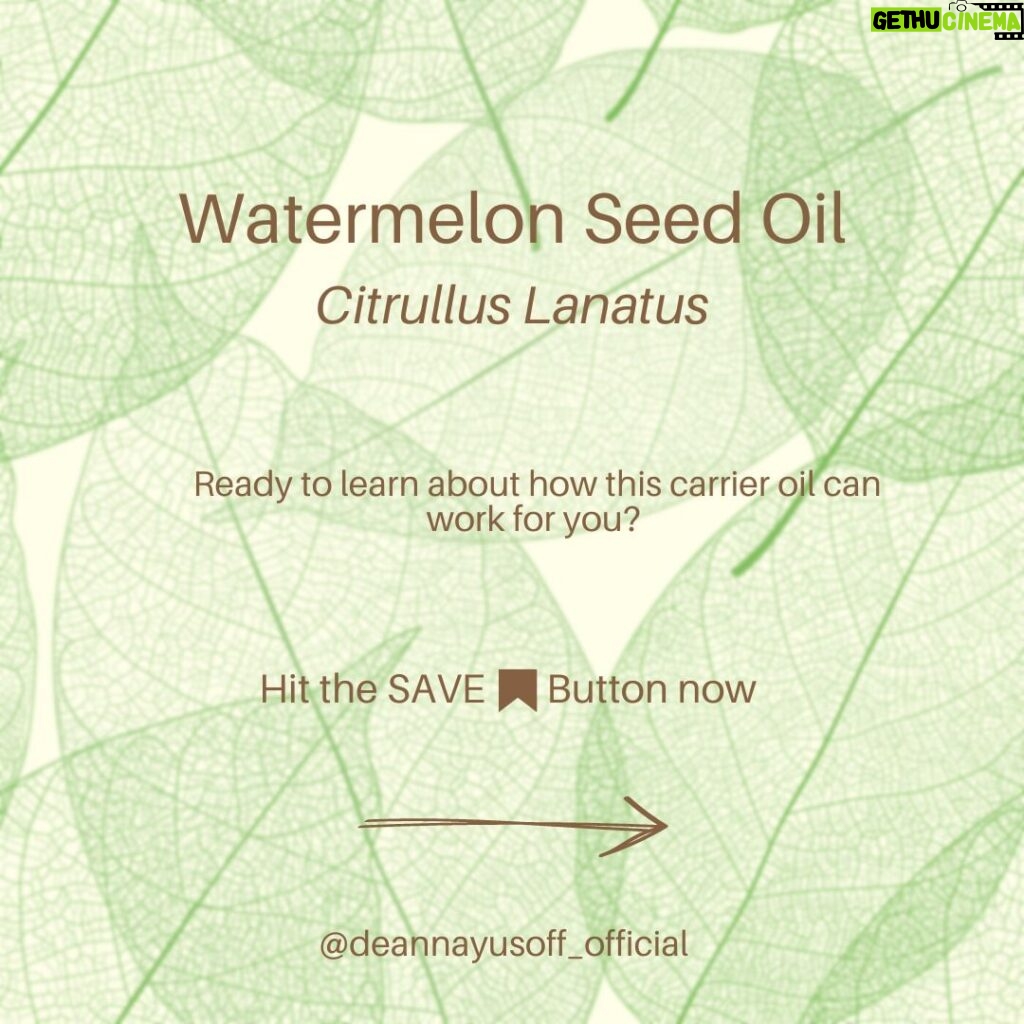 Deanna Yusoff Instagram - Watermelon seed oil has quickly become one of my go-to carrier oils for formulations. Its unique properties make it a perfect choice to use when creating natural skincare products. This oil (Citrullus Lanatus) is derived from the seeds of the watermelon fruit. It has gained popularity in recent years for its potential benefits for the skin. This amazing carrier oil is light yellow in colour and has a sweet, nutty scent. It is perfect for our climate as it is non-greasy and can penetrate deeply while giving you an extra boost thanks to its hefty helping of vitamin F (or omega 6s). Exciting news! My latest creation that will be out soon contains this oil. Keep an eye out for it...you won't want to miss this one! Hit the SAVE Button Now! #watermelonseedoil #citrullus_lanatus #seedoil #carrieroils #nongreasy #holisticskincare #holisticskin #ageingwell #naturalskincare #aging #wrinkles #wellaging #skin #skinhealth #ingredient #dryskin #complexion #skincareingredient #malaysia #certifiedformulator #edelbotanica #singapore #deannacreates #deannaformulates #actress