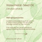 Deanna Yusoff Instagram - Watermelon seed oil has quickly become one of my go-to carrier oils for formulations. Its unique properties make it a perfect choice to use when creating natural skincare products. This oil (Citrullus Lanatus) is derived from the seeds of the watermelon fruit. It has gained popularity in recent years for its potential benefits for the skin. This amazing carrier oil is light yellow in colour and has a sweet, nutty scent. It is perfect for our climate as it is non-greasy and can penetrate deeply while giving you an extra boost thanks to its hefty helping of vitamin F (or omega 6s). Exciting news! My latest creation that will be out soon contains this oil. Keep an eye out for it...you won't want to miss this one! Hit the SAVE Button Now! #watermelonseedoil #citrullus_lanatus #seedoil #carrieroils #nongreasy #holisticskincare #holisticskin #ageingwell #naturalskincare #aging #wrinkles #wellaging #skin #skinhealth #ingredient #dryskin #complexion #skincareingredient #malaysia #certifiedformulator #edelbotanica #singapore #deannacreates #deannaformulates #actress