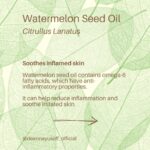 Deanna Yusoff Instagram - Watermelon seed oil has quickly become one of my go-to carrier oils for formulations. Its unique properties make it a perfect choice to use when creating natural skincare products. This oil (Citrullus Lanatus) is derived from the seeds of the watermelon fruit. It has gained popularity in recent years for its potential benefits for the skin. This amazing carrier oil is light yellow in colour and has a sweet, nutty scent. It is perfect for our climate as it is non-greasy and can penetrate deeply while giving you an extra boost thanks to its hefty helping of vitamin F (or omega 6s). Exciting news! My latest creation that will be out soon contains this oil. Keep an eye out for it...you won't want to miss this one! Hit the SAVE Button Now! #watermelonseedoil #citrullus_lanatus #seedoil #carrieroils #nongreasy #holisticskincare #holisticskin #ageingwell #naturalskincare #aging #wrinkles #wellaging #skin #skinhealth #ingredient #dryskin #complexion #skincareingredient #malaysia #certifiedformulator #edelbotanica #singapore #deannacreates #deannaformulates #actress