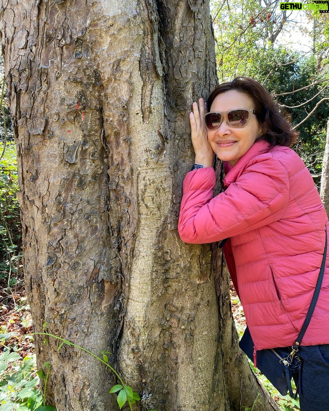 Deanna Yusoff - 1.1K Likes - Have you ever hugged a tree?
I felt restless from all the moving around and needed some grounding.
I love being in nature and usually turn to it to recharge.
Hug a tree, sit with it, feel the energy transfer, smile and donāt forget to thank it.
Tehna um bom dia ā¤ļø
#recharge
#discharge
#nature
#tree
#health
#metime
#travel
#deannatravels