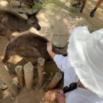 Deb Chubb Instagram - Lost photos from Australia 🇦🇺🦘