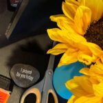 Debby Ryan Instagram - a trip to la in pictures of text