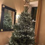 Deborah Roberts Instagram - Well, we finally got it done! Tree, lights, precious ornaments….Let the #christmas season begin in our home!!