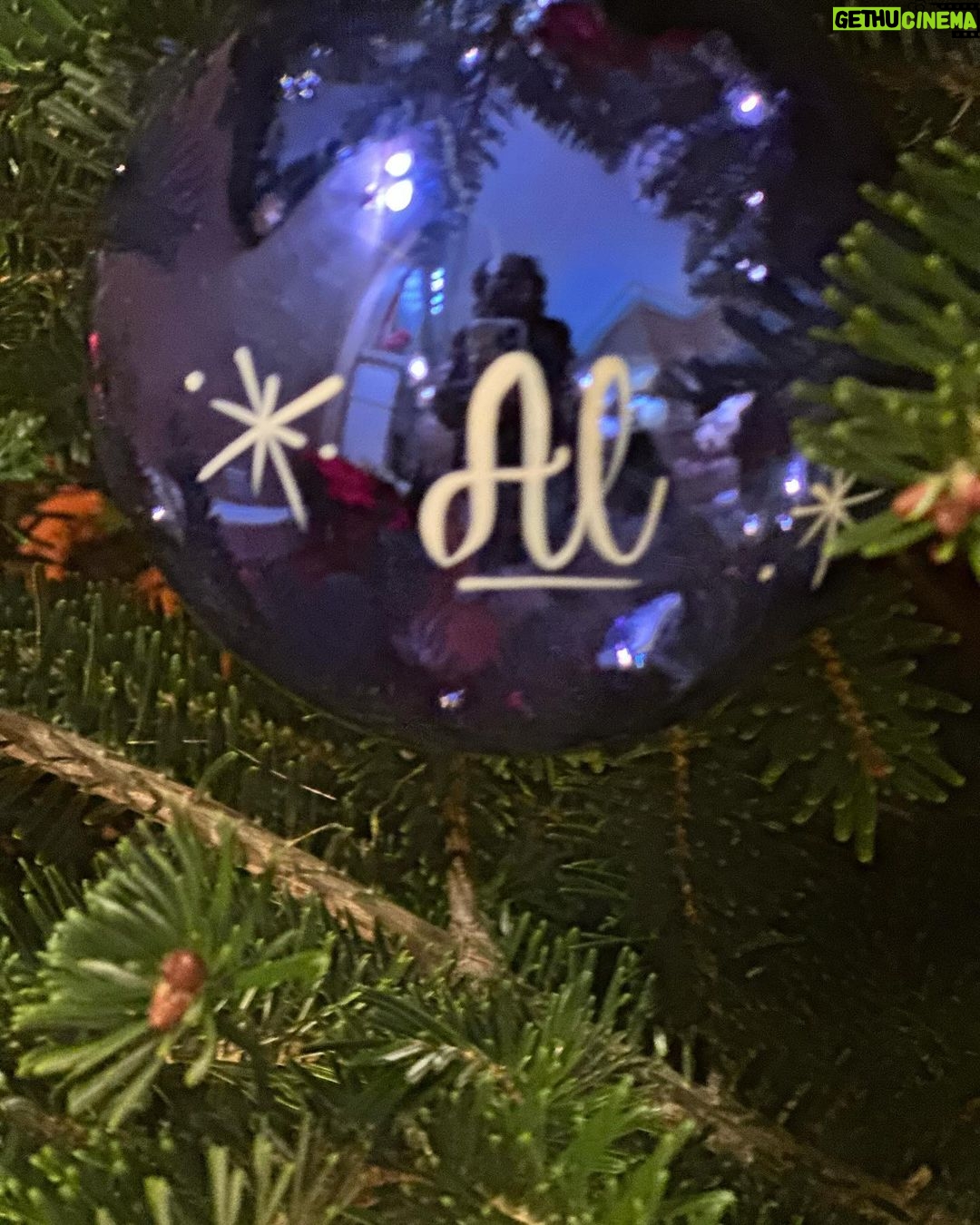 Deborah Roberts Instagram - Well, we finally got it done! Tree, lights, precious ornaments….Let the #christmas season begin in our home!!