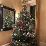 Deborah Roberts Instagram - Well, we finally got it done! Tree, lights, precious ornaments….Let the #christmas season begin in our home!!