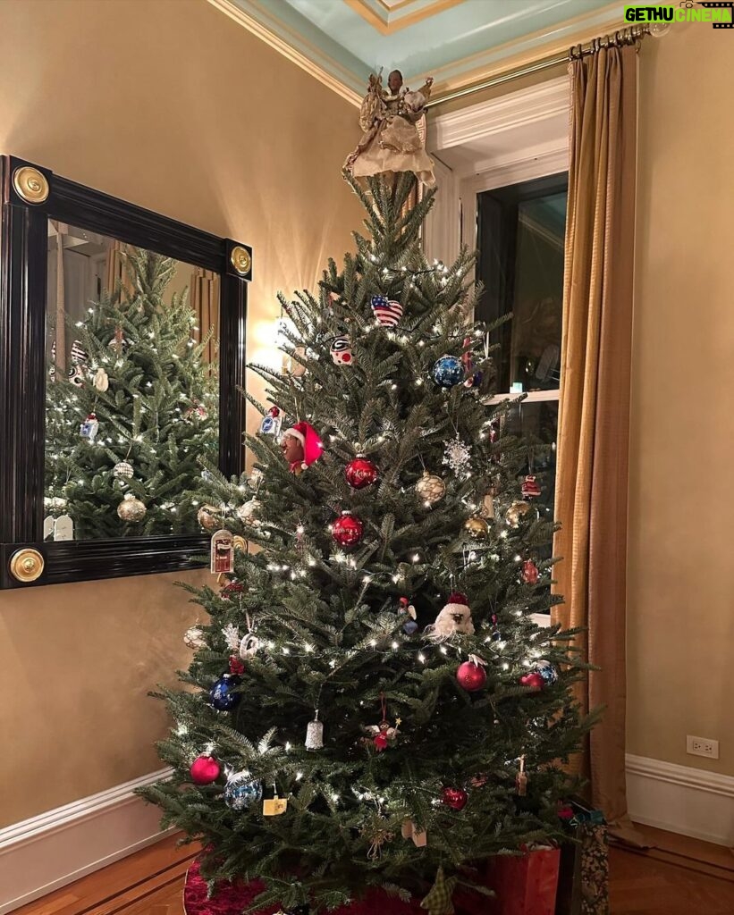 Deborah Roberts Instagram - Well, we finally got it done! Tree, lights, precious ornaments….Let the #christmas season begin in our home!!