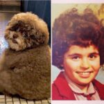Debra DiGiovanni Instagram - Only one of us has a perm.
