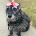 Debra DiGiovanni Instagram - Sometimes I feel pretty