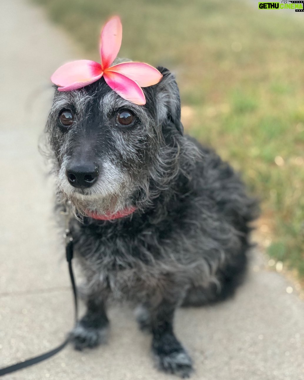 Debra DiGiovanni Instagram - Sometimes I feel pretty