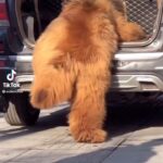 Debra DiGiovanni Instagram - Honestly I don’t know who keeps getting all this private footage of me- but just know I have hired a detective and I WILL find you.