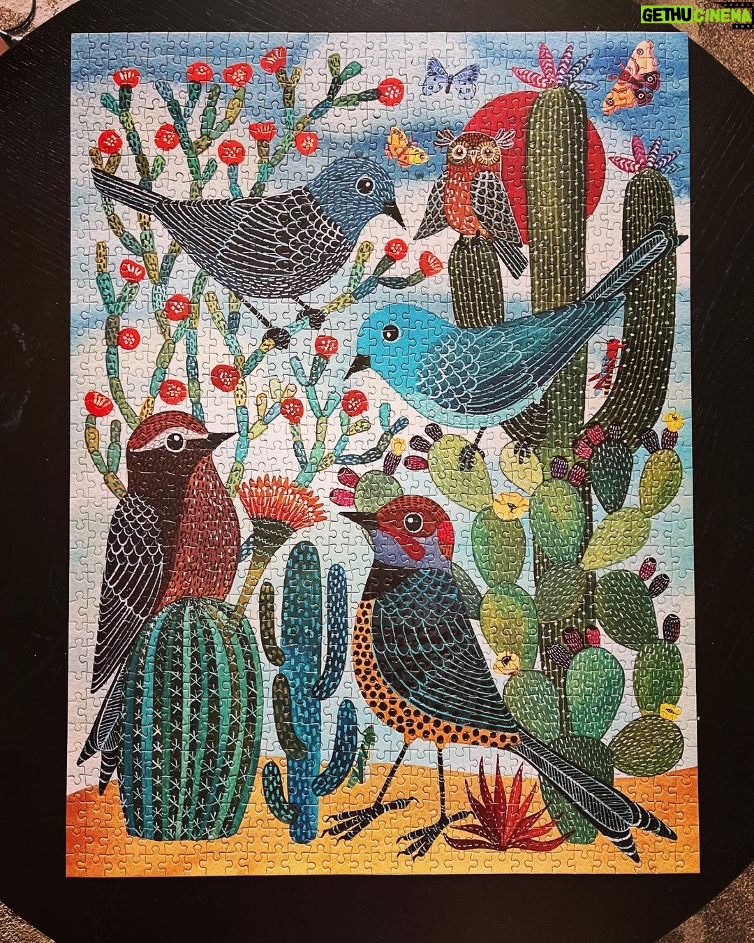 Debra DiGiovanni Instagram - Look at this cutie! I think I need to get rid of some of my puzzles… I’m running out of space!