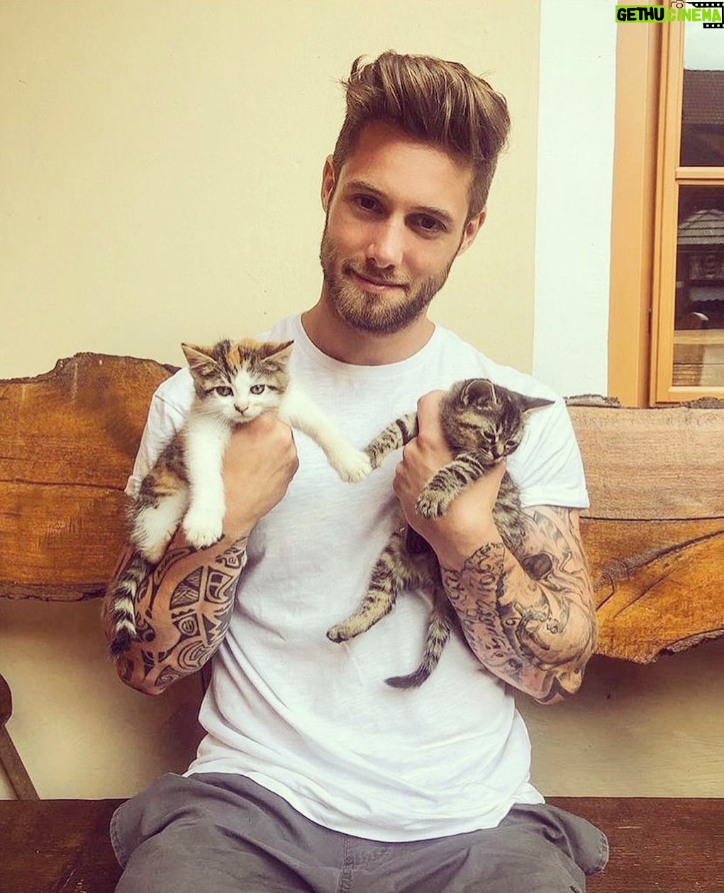 Debra DiGiovanni Instagram - Here’s a picture of my boyfriend Dylan. You can tell he is the best boyfriend because he is holding kittens. And also because he is MY boyfriend. We totally made out after this! (All 4 of us) 🙋🏻♀️♥️#debrasfakeboyfriendfriday