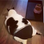 Debra DiGiovanni Instagram - Not sure how this boudoir pic of me was leaked- but drink it in people! I will not be ashamed of how I look in my undies!!