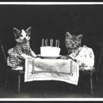Debra DiGiovanni Instagram - It makes me happy to know there’s been crazy cat people for a hundred years. 🙋🏻‍♀️♥️