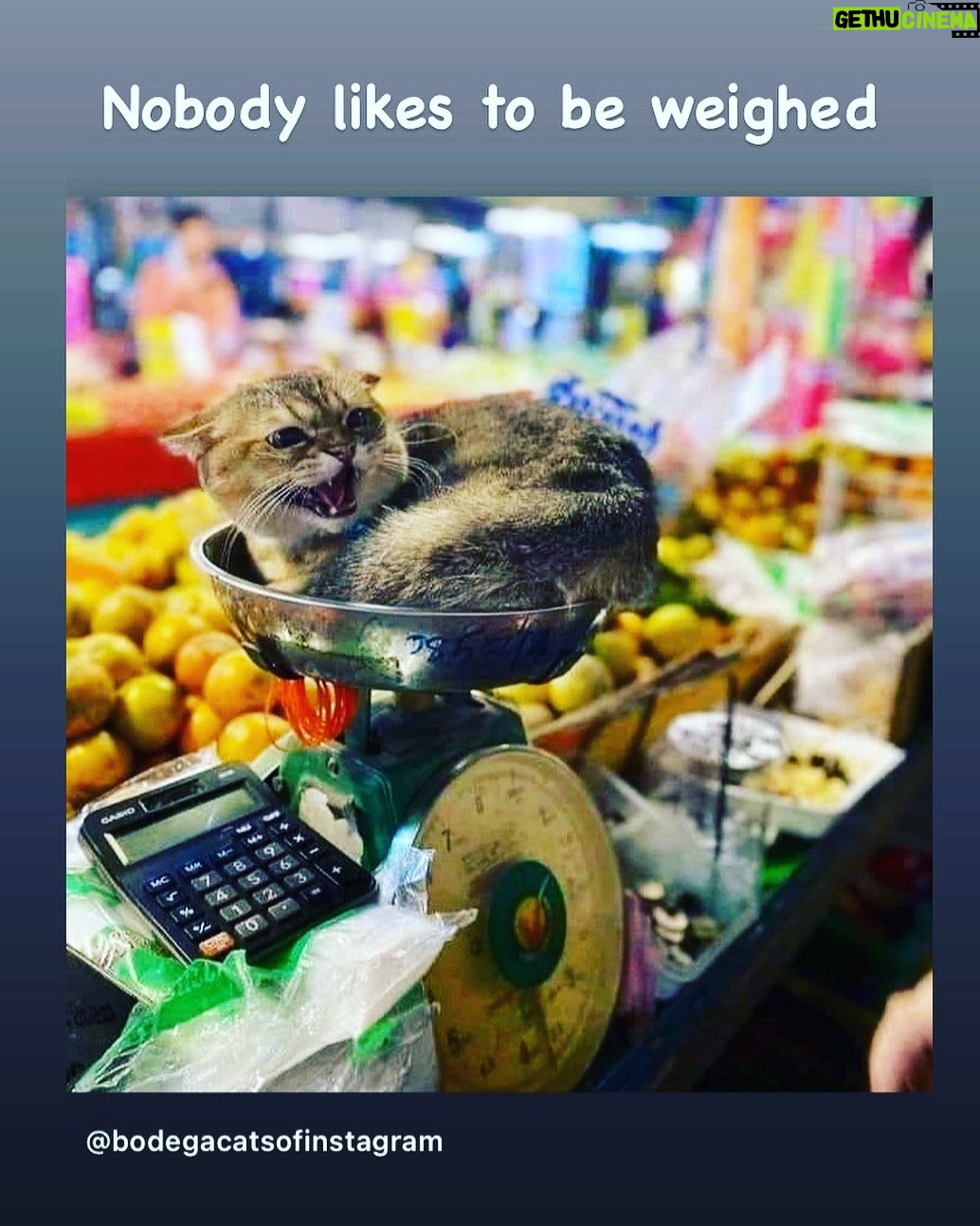 Debra DiGiovanni Instagram - Throw out your scales!!! ♥️♥️♥️