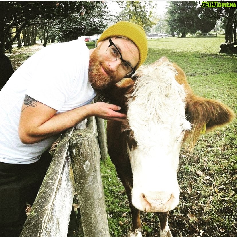 Debra DiGiovanni Instagram - Here’s a picture of my boyfriend Jay. He’s so great- he makes furniture and rides a bike (no hands) and loves all creatures, big and small- but I’m his super duper fav. We totally made out after this - me and Jay, not the cow. 🙋🏻‍♀️♥️ #debrasfakeboyfriendfriday