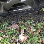 Debra Winger Instagram – if you have to get a #flattire this is a good place to do it. #nofilter Pennsylvania