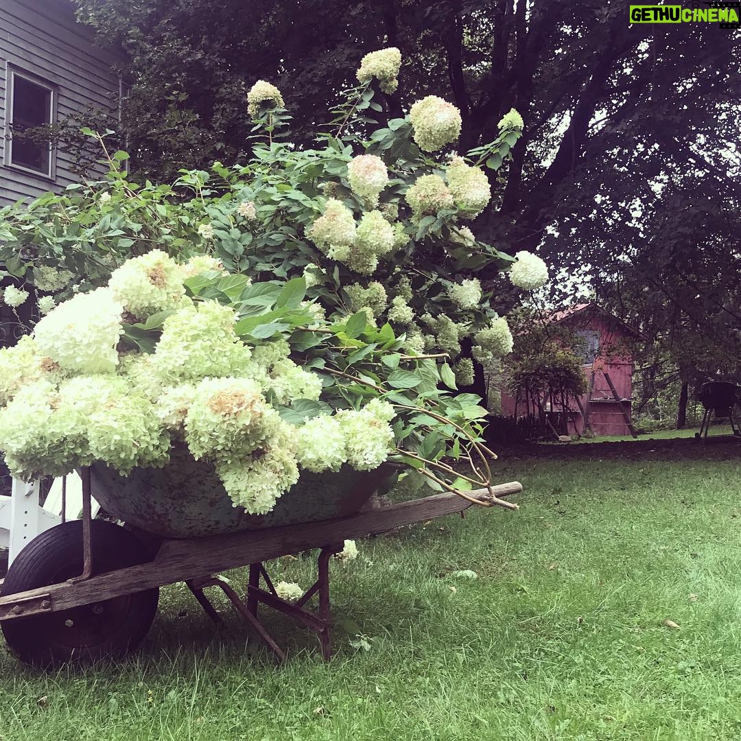 Debra Winger - 1.6K Likes - I’m tending the fall garden, beautiful flowers turning now to another season, and I am standing with women everywhere in the hope for our nation to understand the difference between impulse and action and for a world where #humanism is valued over gender. Make our stories known. Teach others how damaging unwanted or non-consensual sexual aggression can be to any young person: things that take years to get through. I look forward to the years ahead for my sons and everyone’s children to live with respect and to find pleasure in the beauty of our bodies.