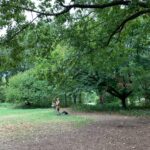 Debra Winger Instagram – cusp o’ fall Central Park