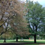 Debra Winger Instagram – cusp o’ fall Central Park