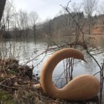 Debra Winger Instagram - ...returning to their natural habitat for a realistic 2019 #butternutsquash #swallowtails America/New_York