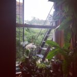 Debra Winger Instagram - just happy to be almost home ( almost) New York, New York