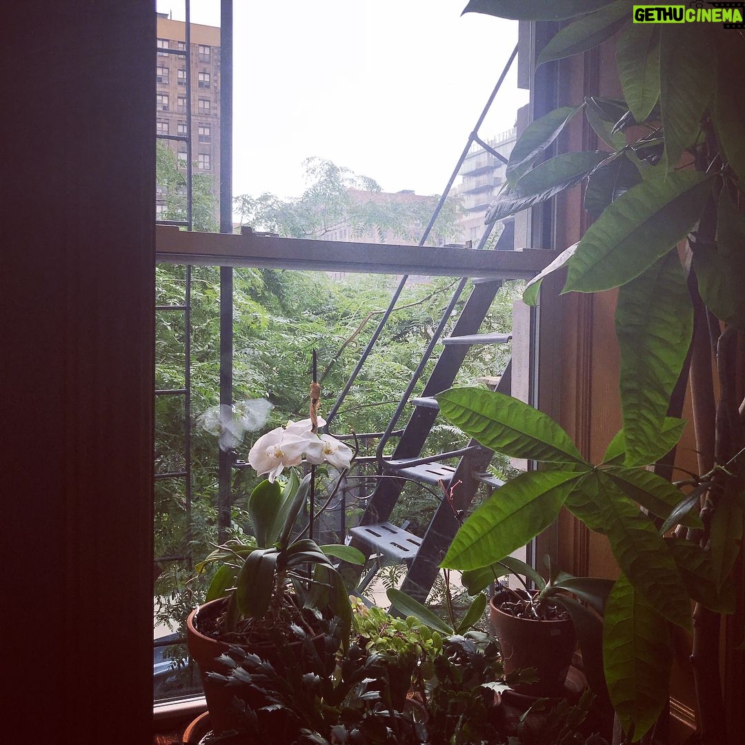 Debra Winger - 857 Likes - just happy to be almost home ( almost)