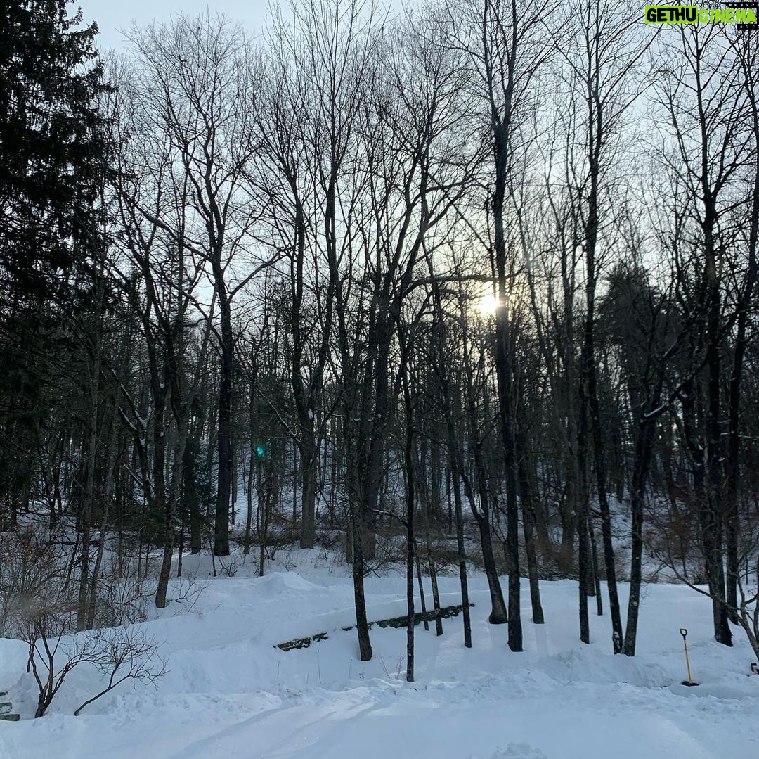 Debra Winger - 1.1K Likes - it has been a dark and various winter. This is the first sunrise seen in weeks. There have been snowed-in days; friends in trouble; friends that give of themselves; films that 'dropped' in a virtual world; projects that haven't gotten finished - people that are trying to do their best amidst the distant noise and present isolation.. I bow to all of it, in front of all of it.. I try every morning to include it all in the tapestry. Expand within this Now. Hello Tuesday. Goodbye to some dear friends and to Lawrence Ferlinghetti - Come on March ( the cruelest) : show me what ya got. Give a small bit of what you've got to a good cause. One is @miles4migrants