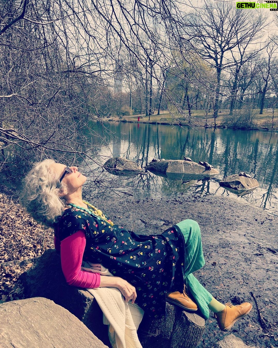 Debra Winger - 3.8K Likes - Searching for signs of spring in the city. Narrowly dodging motorized bikes, stepping over dog droppings and walking through clouds of vape, I find this bale of turtles in Central Park, who have also found the sun. I'm ready for the next bit, whatever it is.