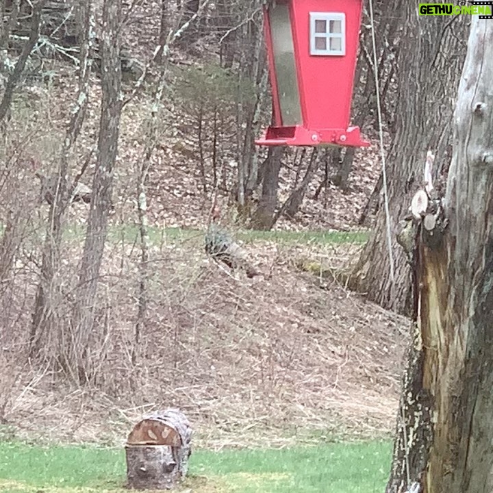 Debra Winger Instagram - 4/21/21 : I wanted to write about how I dreaded the winter last year - the same way I am resisting the Spring. But it occurs to me that although these are seasonally correct as emotions that I often feel living where I do, and somewhat interesting to note in that they are timeless in Nature: NOW is always different. Now the dread and the resistance are reflected in the NEWs each and every freakin day. I do dread hearing it - for every conviction, how many deaths by police? I will RESIST for as long as it takes and pass it on. We are here to do something. THIS IS EXHAUSTING OUR GOOD ENERGY. My hair's on fire and the Spring is meant to Awaken. Prayers out to all who are exhausted and confused by what to do. Be of Love. #resist #awaken #blacklivesmatter #reparations (barn on fire painting by #tedkooser )