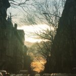Debra Winger Instagram – good morning #lunarnewyear I’m looking forward to the Pig. Manhattan, New York