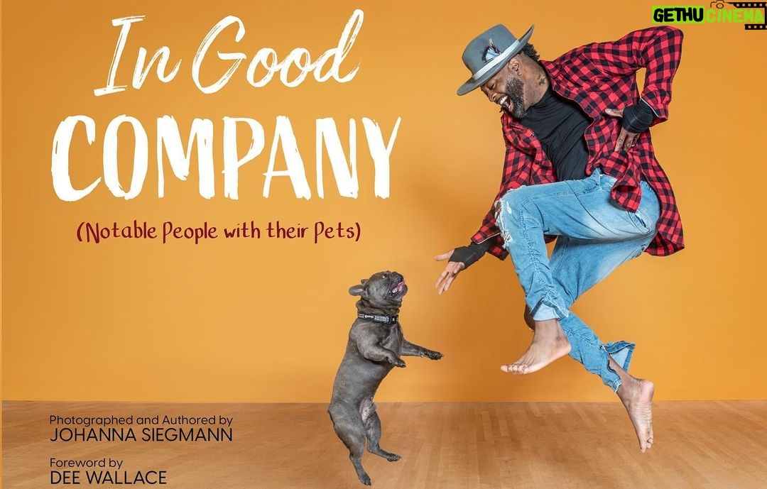 Dee Wallace Instagram - Not only was I lucky enough to be included in @supertographer amazing new book with my fur baby Freedom, I also was honored to write the forward. This book INSTILLS joy within you. It’s impossible not to feel love when looking at these images. “In Good Company” is a collection of notable people with the ones we love most—our pets! A portion of proceeds goes to the Apex Protection Program. Grab the perfect coffee table book on Amazon now! 🐶 #ingoodcompany #pets