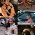 Dee Wallace Instagram - Celebrating the release of Cujo today! 🐶 1983… Don’t worry, the man in the dog suit was ONLY used when Cujo bashes his head into the door 😂 #cujo #horror #anniversary